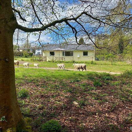 The Bungalow, Forest Of Dean Coleford  Eksteriør bilde