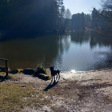 The Bungalow, Forest Of Dean Coleford  Eksteriør bilde