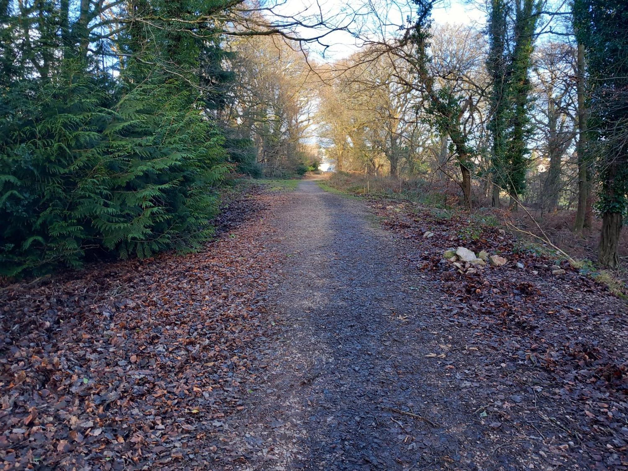 The Bungalow, Forest Of Dean Coleford  Eksteriør bilde