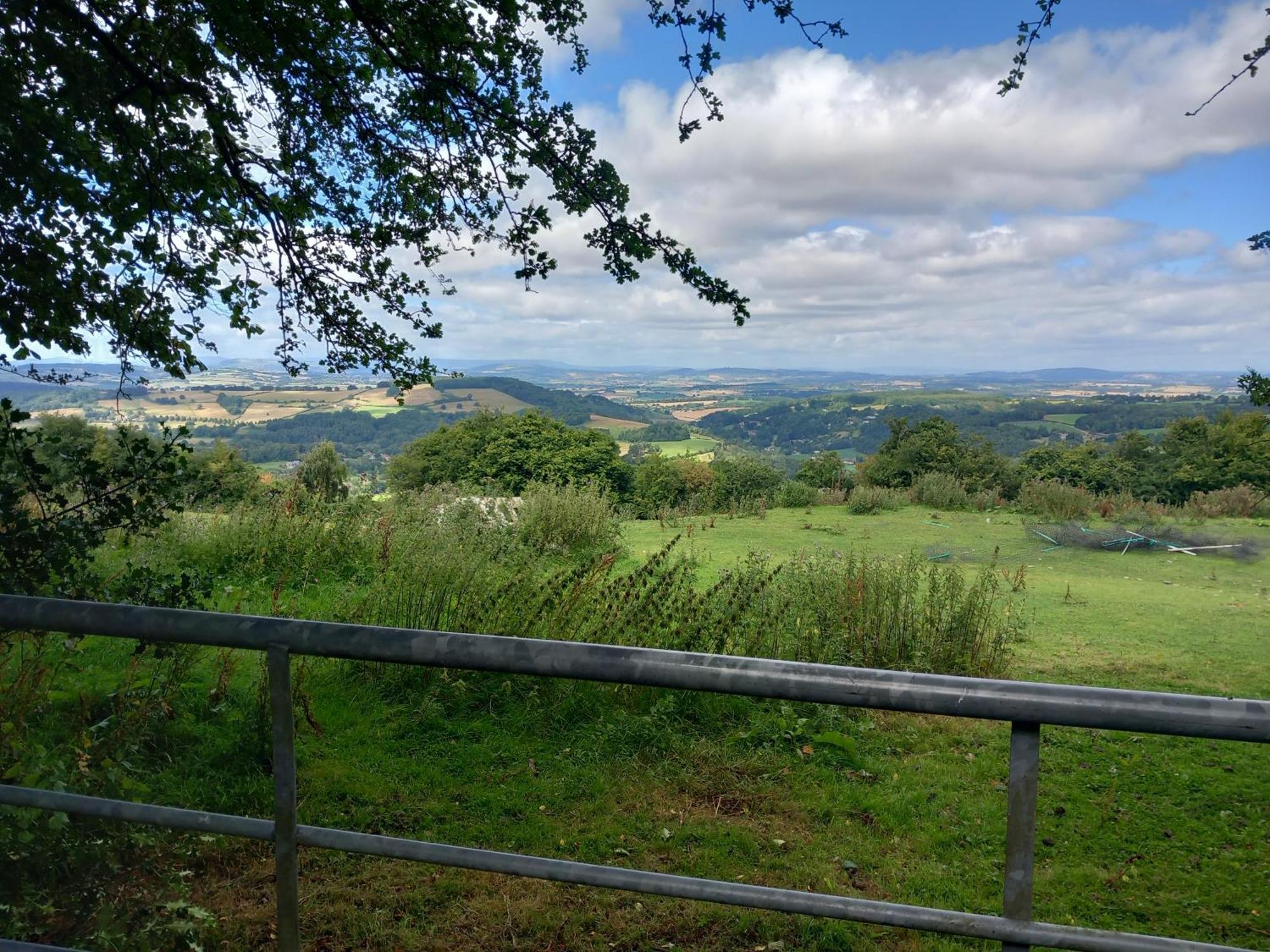 The Bungalow, Forest Of Dean Coleford  Eksteriør bilde